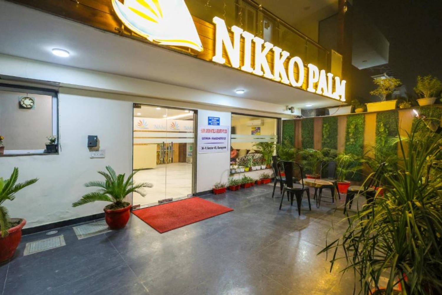 Nikko Palms